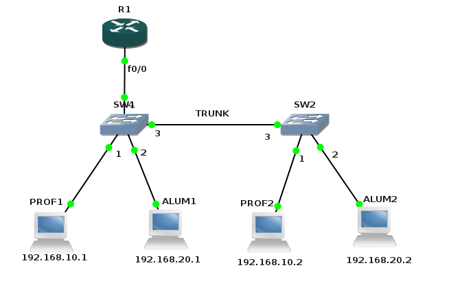 Trunk function